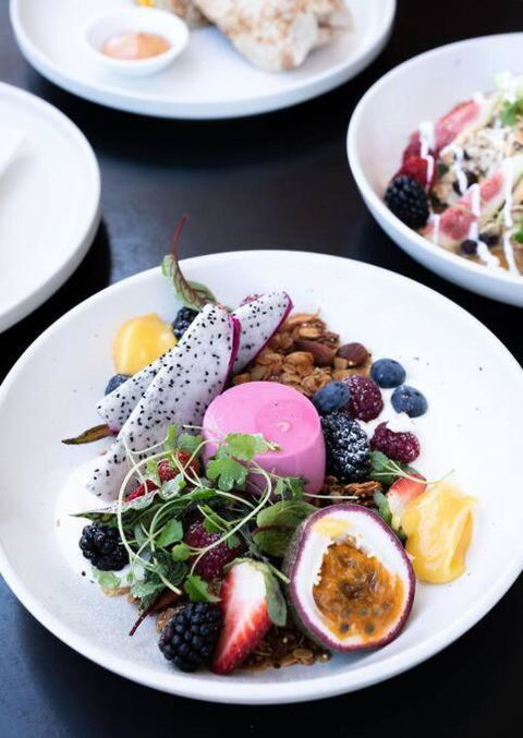 Luxury Inner-west Flat W/ Breakfast And Coffee Included! - Sunshine Coast Guide 3