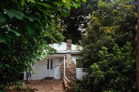 Luxury Treetop Escape With A Garden Glasshouse - Sunshine Coast Guide 3