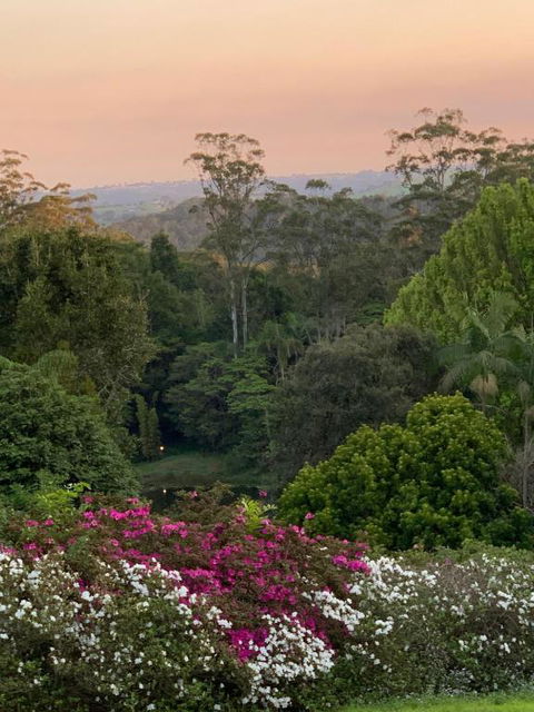 Montville Country Cabins - Sunshine Coast Guide 1