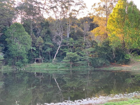 Montville Country Cabins - Sunshine Coast Guide 3