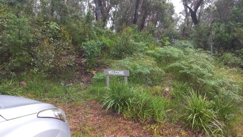 Mountain Tranquility - Sunshine Coast Guide 3