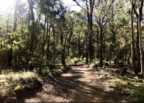 Northfield Boutique Apartments - Sunshine Coast Guide 1