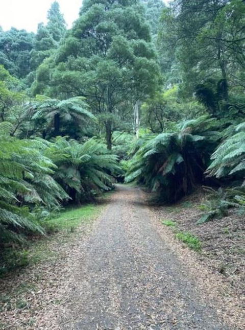 Olinda Enchanted Tower Spa Gas Log Fire And Netflix - Sunshine Coast Guide 1