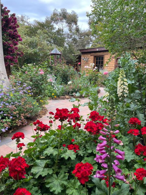 Patricias Garden Studio - Sunshine Coast Guide 0