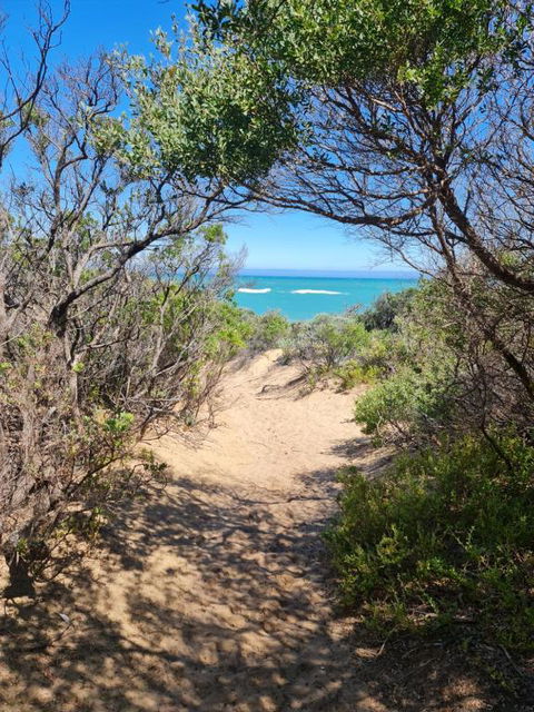 PIECE OF PARADISE, Huge 4 Bedroom Haven - Sunshine Coast Guide 0