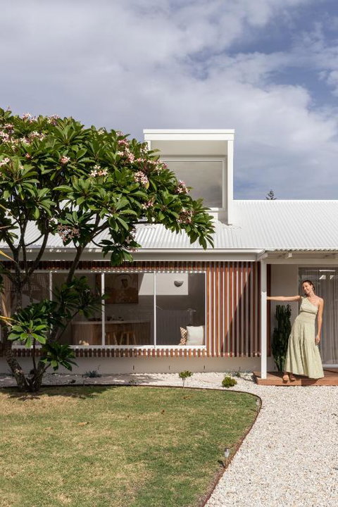 Pipis - Sunshine Coast Guide 3