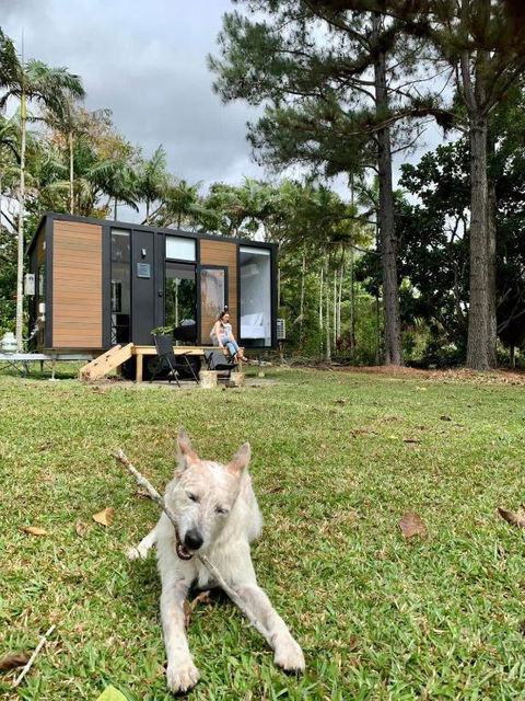 Piyar Tiny Haven By Tiny Away - Sunshine Coast Guide 0