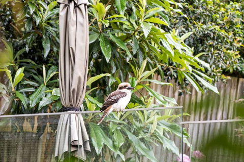 Quaint Queen Room - Central Location At Pymble - Shared Bathroom - Sunshine Coast Guide 1