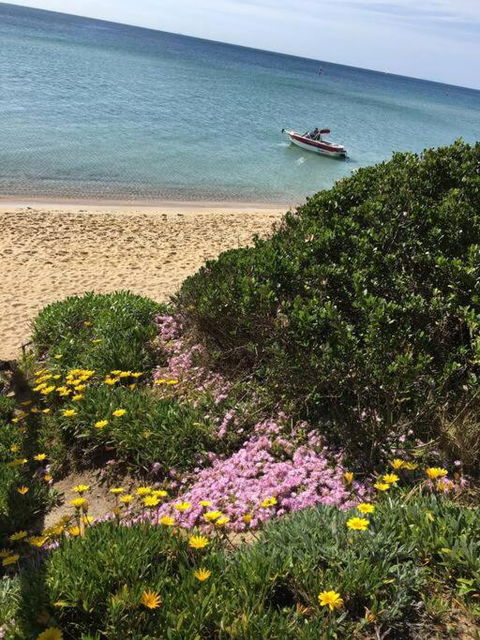 Quiet, Luxurious Guest House - Couples Retreat - Sunshine Coast Guide 1
