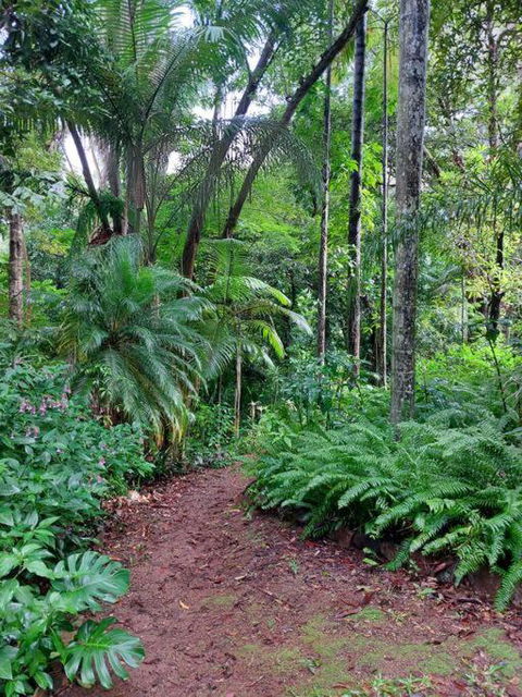 Rainforest Retreat-Fireplace-BBQ-3 Acres- - Sunshine Coast Guide 0