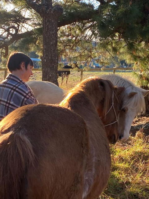 Private Country Escape With Valley Views - Sunshine Coast Guide 3