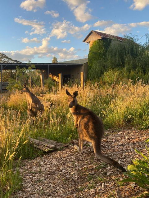 Private Country Escape With Valley Views - Sunshine Coast Guide 2