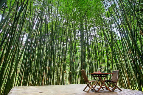 Azabu Boutique Accommodation - Sunshine Coast Guide 1