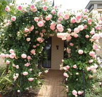 Baudins of Busselton Bed and Breakfast - Sunshine Coast Guide