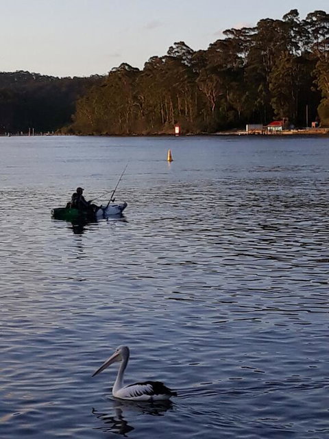 Bay Executive Motel - Sunshine Coast Guide 2