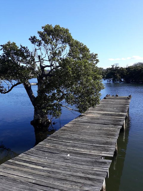 Bay Executive Motel - Sunshine Coast Guide 1