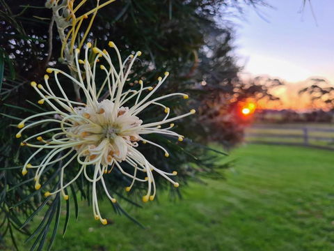 Redgate Forest Retreat - Sunshine Coast Guide 1