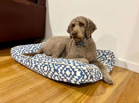 Relax And Reconnect At MaluaBay - Sunshine Coast Guide 1