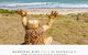 Relaxed Ocean View - thumb 1