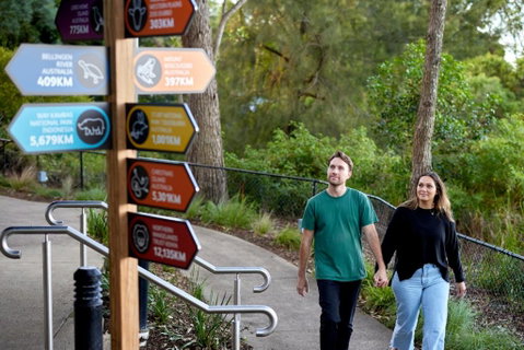 Roar And Snore - Sunshine Coast Guide 2