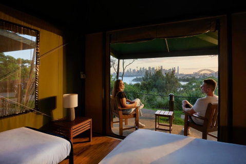 Roar And Snore - Sunshine Coast Guide 0