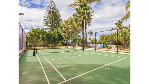 Royal Palm 19 - Sunshine Coast Guide 3