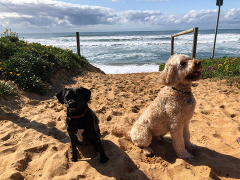 Sanctuary Retreat - Sunshine Coast Guide 2
