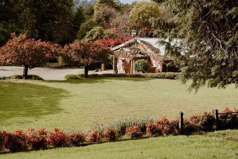 The Cherry Blossom Suite - Sunshine Coast Guide 3