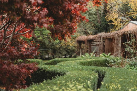 The Garden Suite - Sunshine Coast Guide 1
