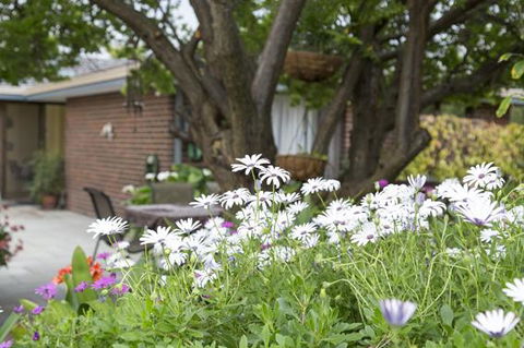Bed And Breakfast In Perth - Sunshine Coast Guide 1