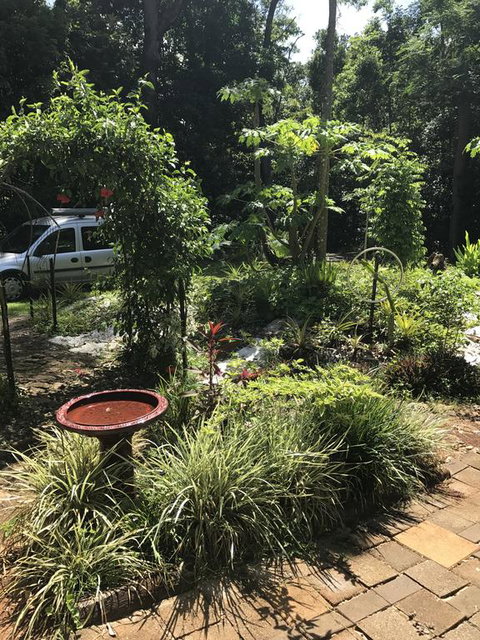 Bellarose Guest House - Sunshine Coast Guide 1