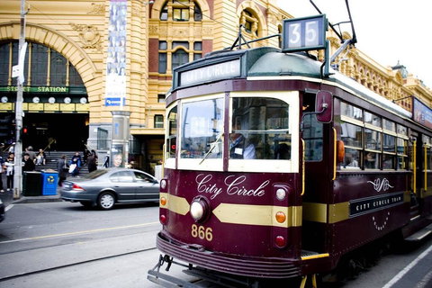 BHB CBD Dream, FreeWine, FreeNetflix, FreeWifi, Views - Sunshine Coast Guide 1