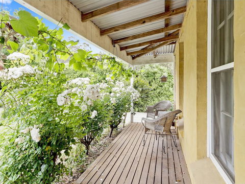 Blue Wren - Sunshine Coast Guide 1