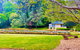 The Mountain View Cottage - thumb 3