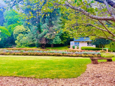 The Mountain View Cottage - Sunshine Coast Guide 3