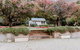 The Mountain View Cottage - thumb 1