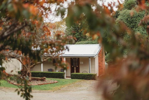 The Mulberry Cottage - Sunshine Coast Guide 2