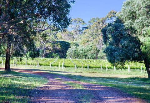 Tintagel Estate I Private Properties - Sunshine Coast Guide 1