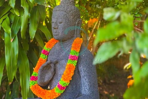 Zenhouse: 6-BR Balinese Tropical Oasis In Nightcliff Central - Sunshine Coast Guide 3