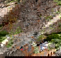 3-Day Kakadu 4WD Camping Safari from Darwin - Sunshine Coast Guide