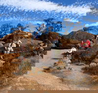 The Big Wave Rock Private Day Tour - Sunshine Coast Guide