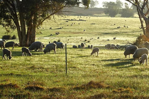 The Big Wave Rock (Private) Day Tour - Sunshine Coast Guide 1