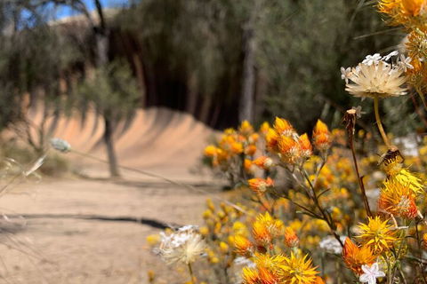 The Big Wave Rock (Private) Day Tour - Sunshine Coast Guide 3