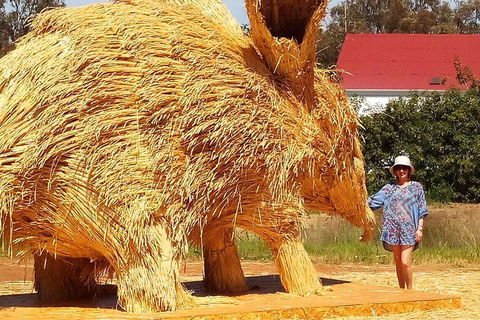 The Big Wave Rock (Private) Day Tour - Sunshine Coast Guide 5