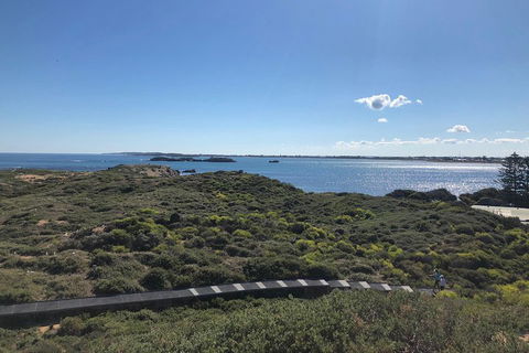 Penguin Island And Fremantle - Canoe, Chocolate & Coffee - Sunshine Coast Guide 0