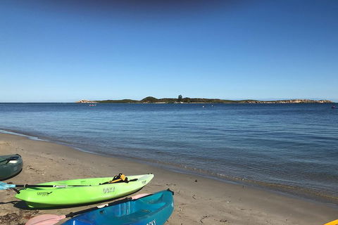 Penguin Island And Fremantle - Canoe, Chocolate & Coffee - Sunshine Coast Guide 2