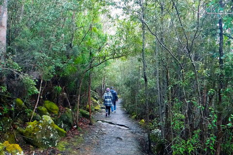Kunanyi/Mt Wellington Tour & Hobart Hop-On Hop-Off Bus - Sunshine Coast Guide 1