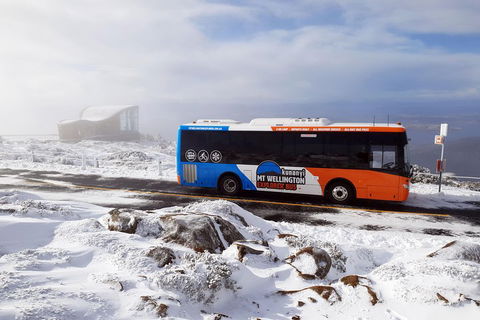 Kunanyi/Mt Wellington Tour & Hobart Hop-On Hop-Off Bus - Sunshine Coast Guide 2