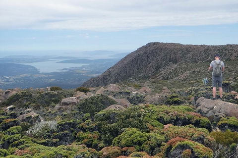 Kunanyi/Mt Wellington Explorer Bus - One Way Tour - Sunshine Coast Guide 0