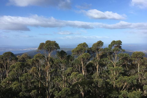 Kunanyi/Mt Wellington Explorer Bus - One Way Tour - Sunshine Coast Guide 5
